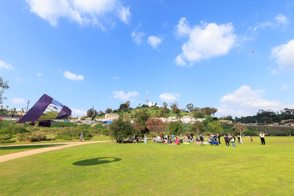 A wide view of a park with people gathered on the grass, enjoying a sunny day. In the background, a large purple kite is flying over a hillside with houses and trees under a blue sky with fluffy clouds.